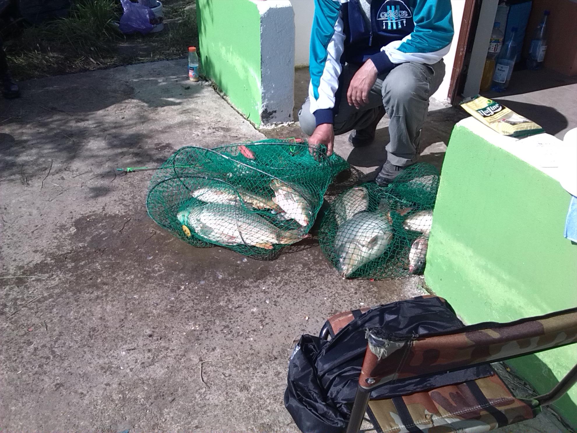 lilieci teleorman - img20140501162829.jpg